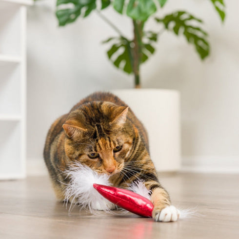 H&K Santa Hat & Sweet Thing Candy 2pk Cat Toy